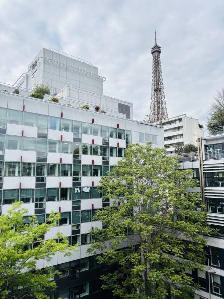 Appartement 2 pièces vue Tour Eiffel 15ème arrondissement Paris 